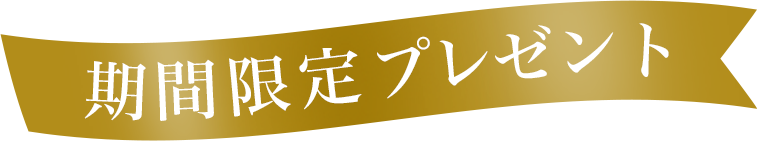 期間限定プレゼント！